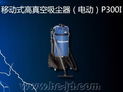 ƶʽ綯P300I